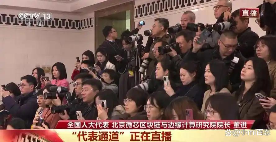 中國傳來好消息！全國人大代表宣布：我們自己搞定的芯片(圖1)